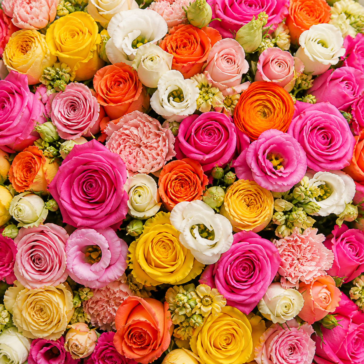 Colorful mix of roses, lisianthus and carnations