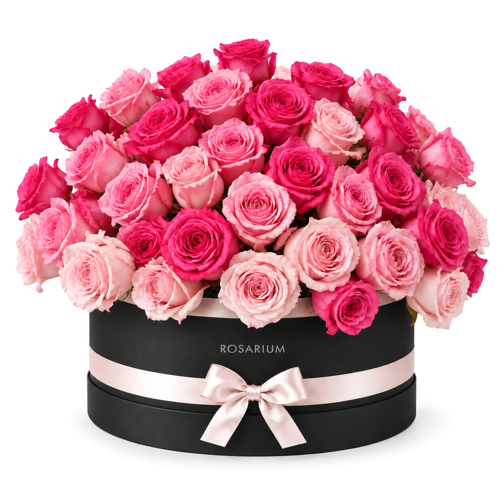 تدرّجات وردية (Pink Ombré)