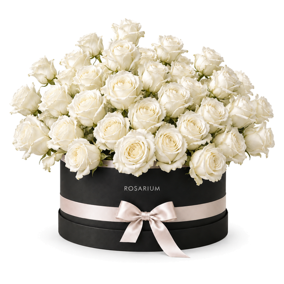 Ivory Affair