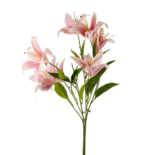 Lily