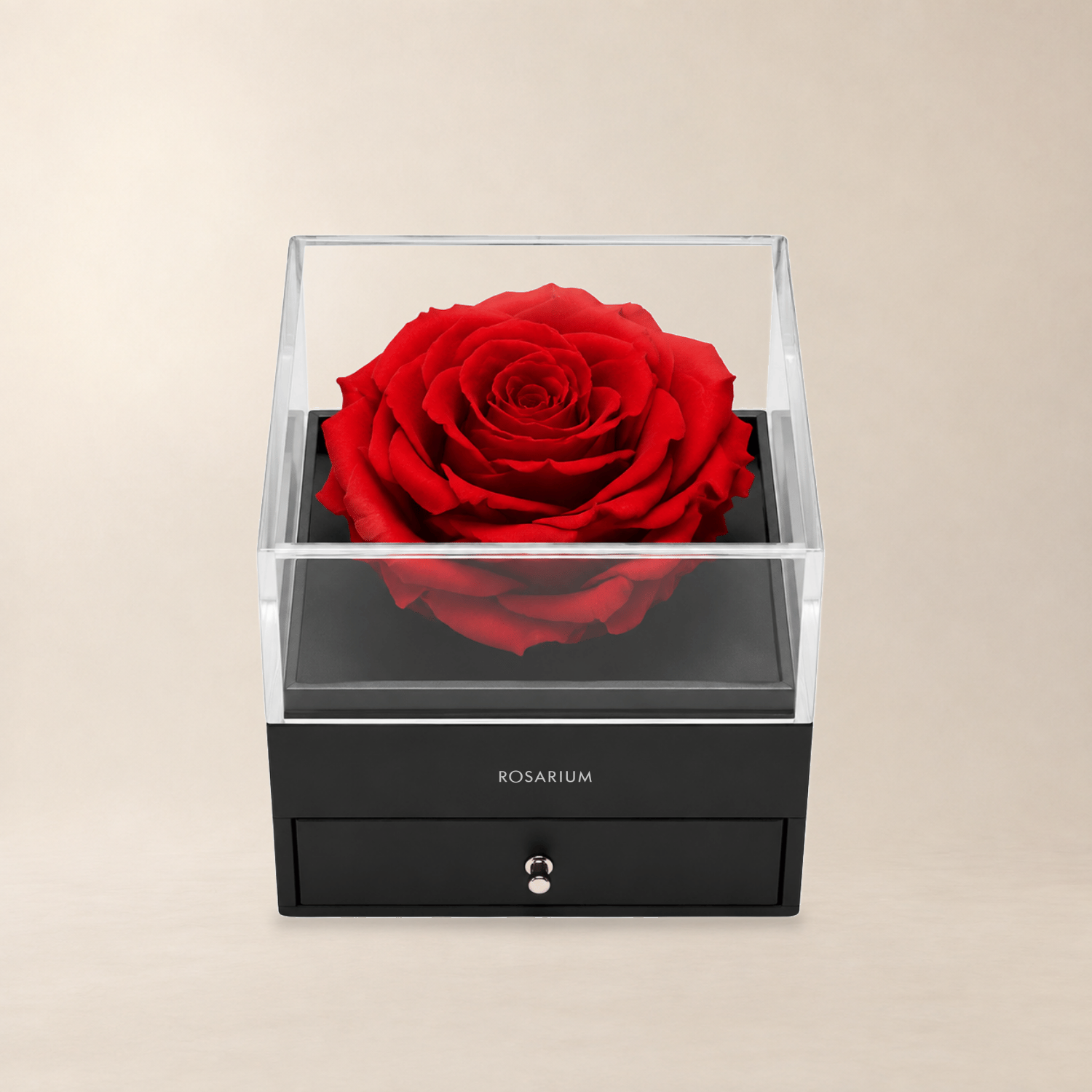 Eternal Love Rose