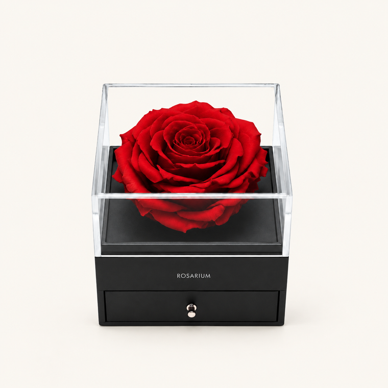 Eternal Love Rose