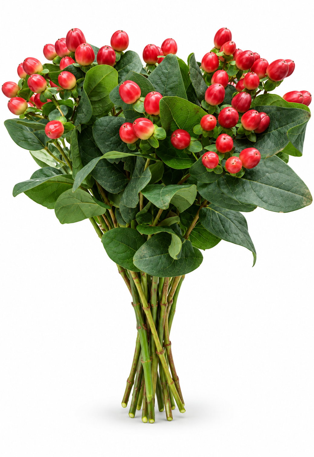 زهور وأغصان مكملة