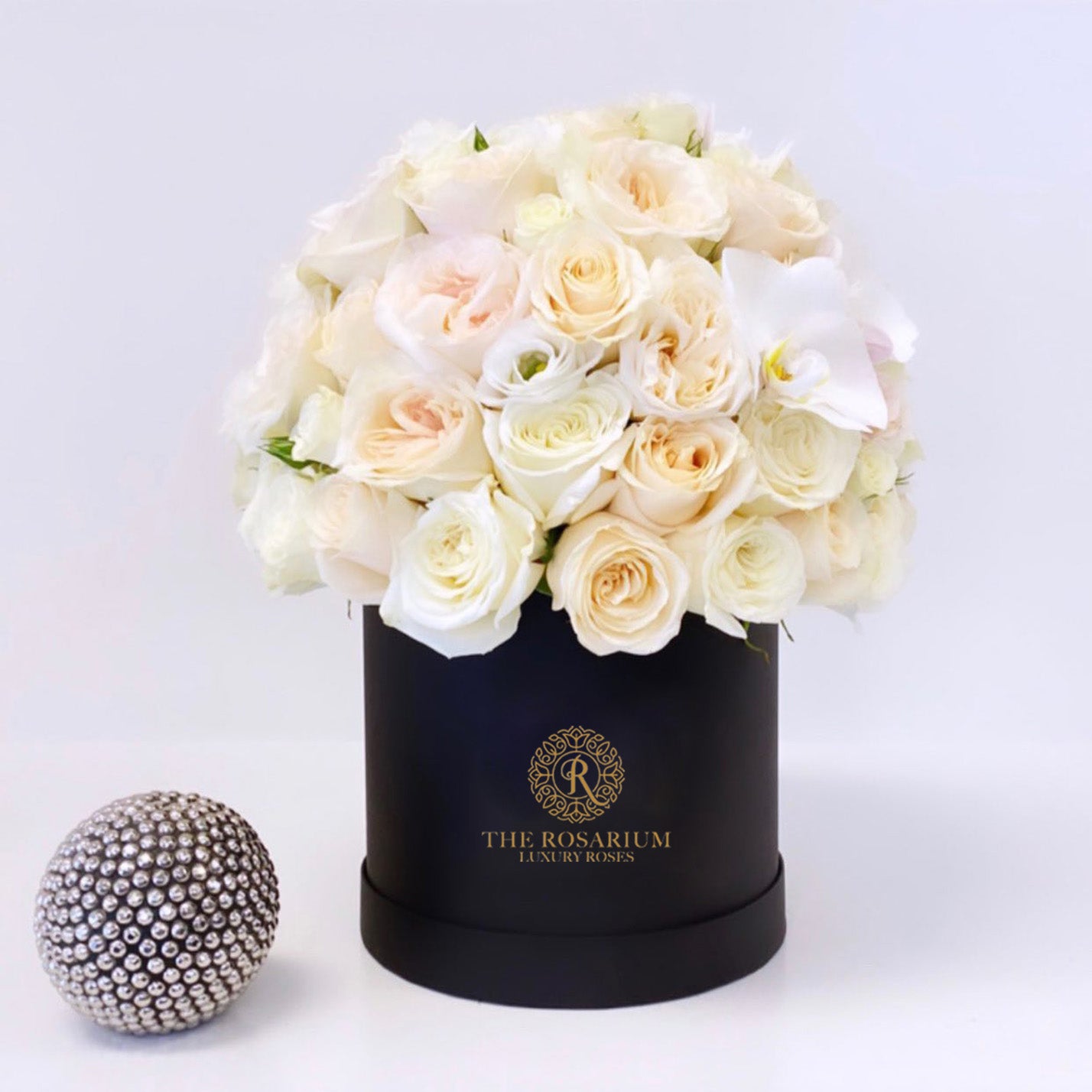 White Rose & Cream Garden Rose Velvet Box Arrangement
