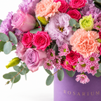 Lilac Royalty