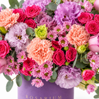 Lilac Royalty