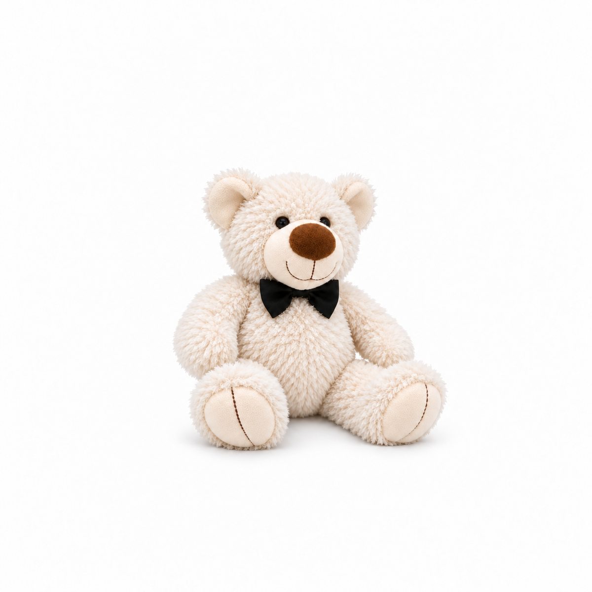 Small White Teddy Bear — studio view