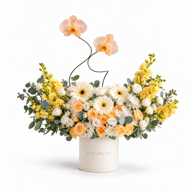 Apricot Afterglow