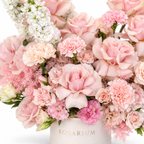 Blush on Pointe floral detail, blush roses, pink spray roses, pale carnations and white stock in a off-white Rosarium box
