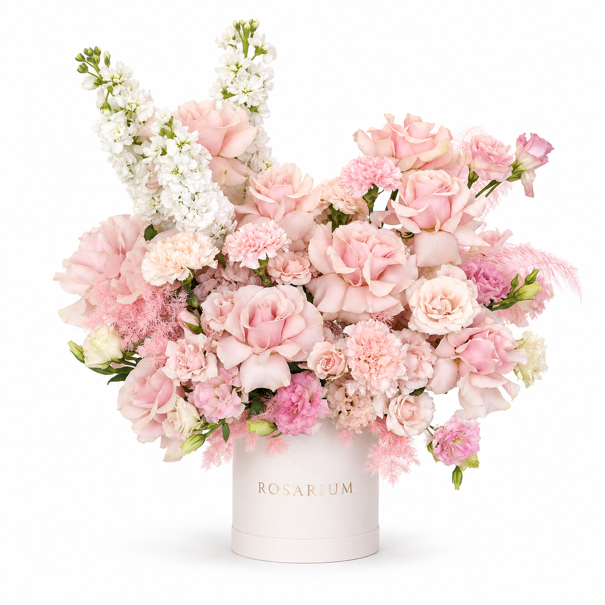 Blush on Pointe main view, blush roses, pink spray roses, pale carnations and white stock in a off-white Rosarium box