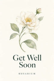 Rosarium Get Well Soon greeting card