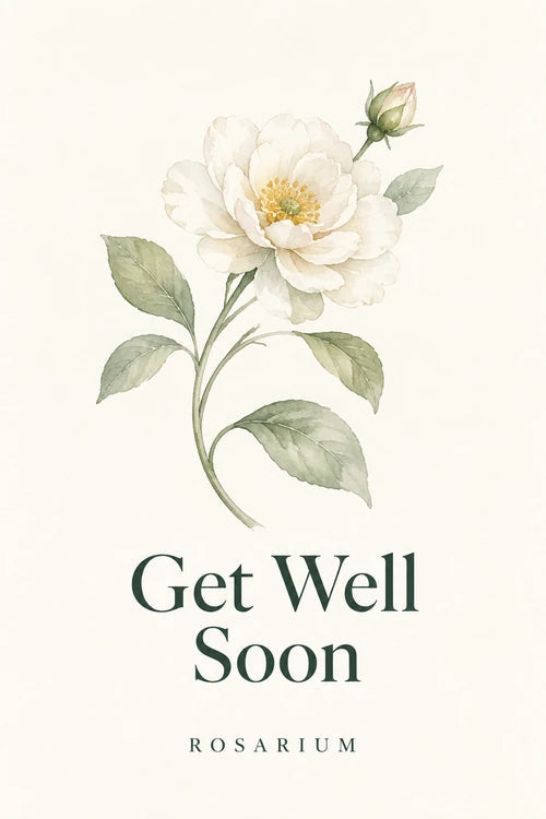 Rosarium Get Well Soon greeting card