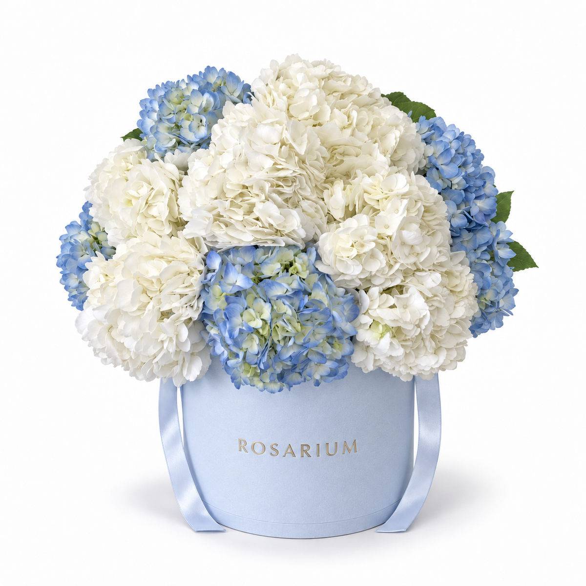 Hello, Little Blue main view, white and blue hydrangeas in a blue Rosarium box