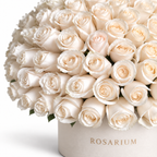 White Reverie floral detail, white roses in a off-white Rosarium box