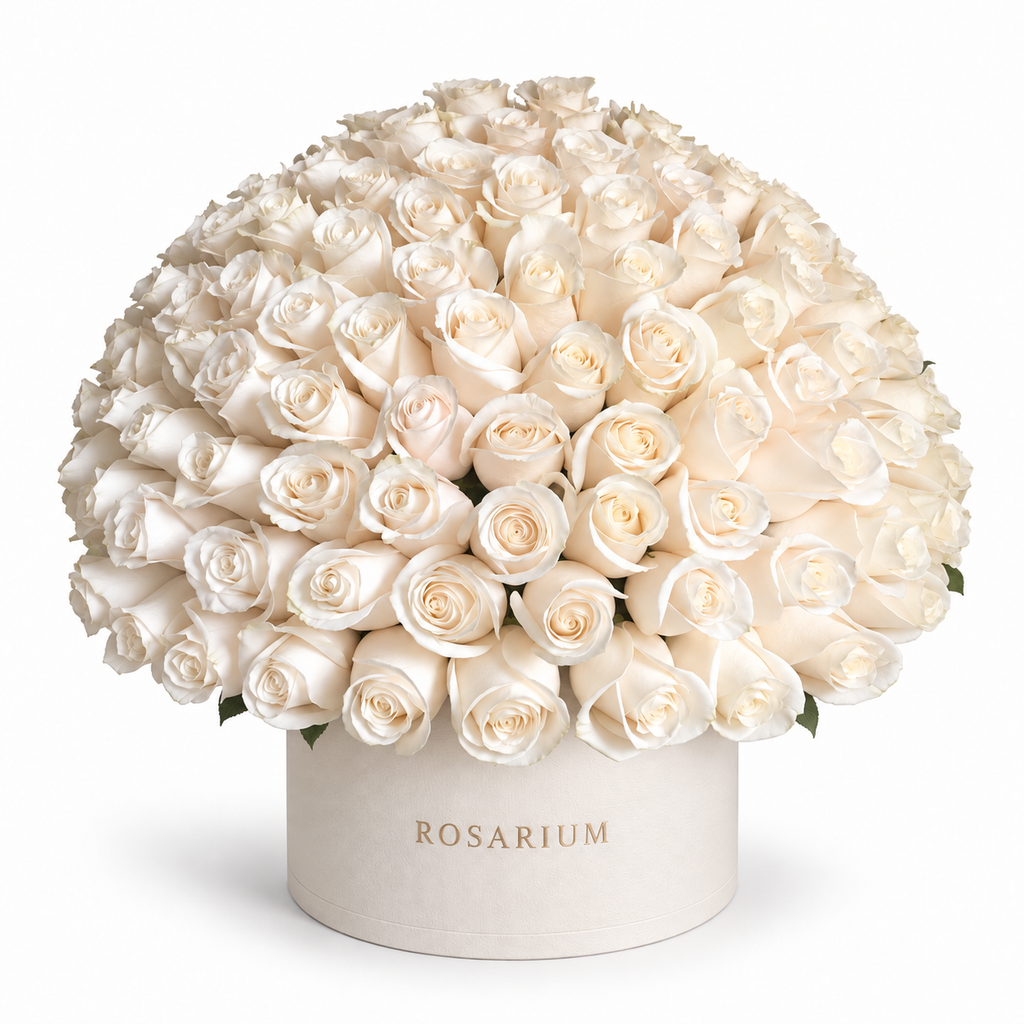 White Reverie main view, white roses in a off-white Rosarium box