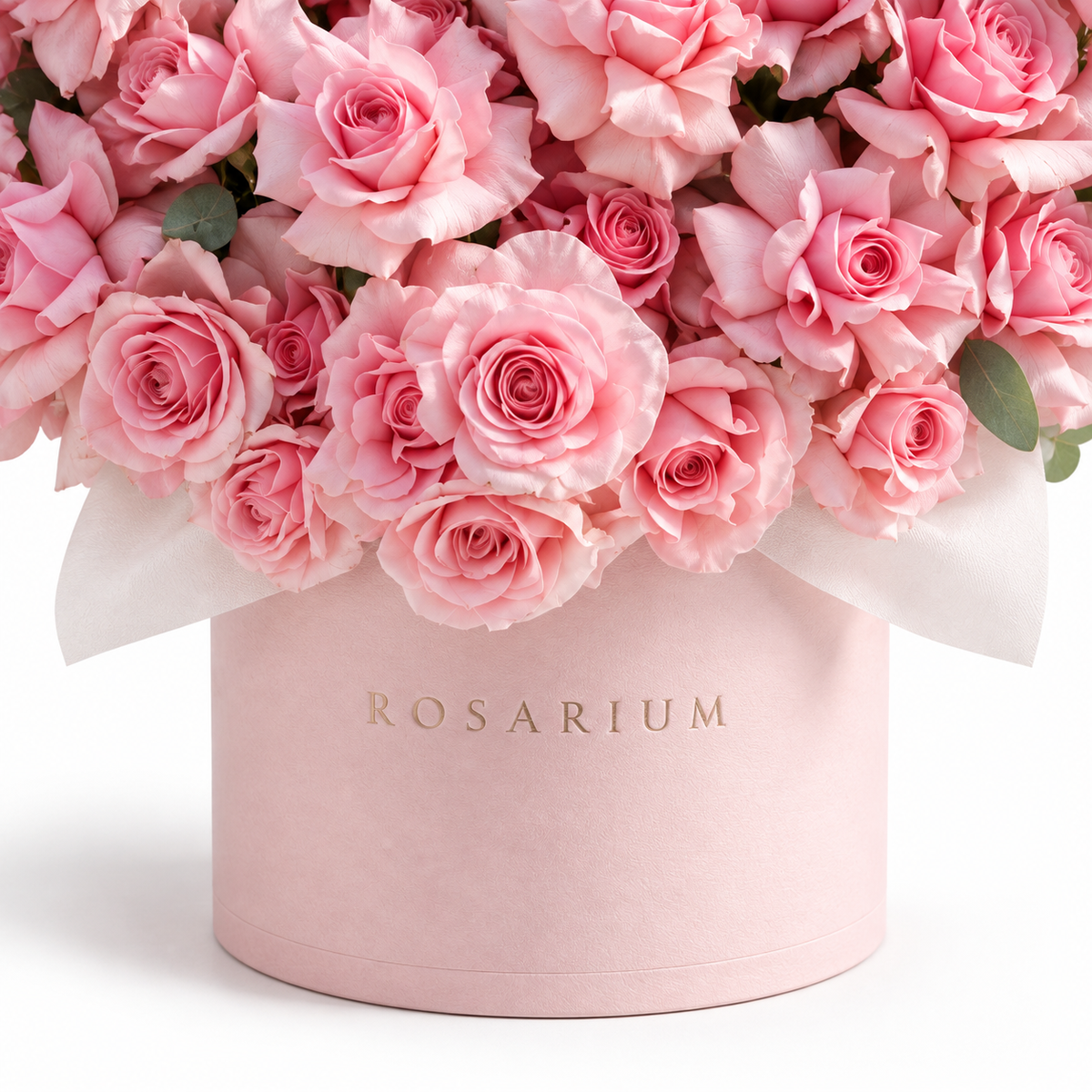 Pink-Hearted packaging detail, pink roses in a light pink Rosarium box