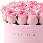 Pink, Simply floral detail, pink roses in a pastel-pink Rosarium box