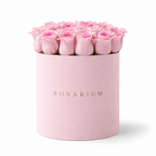 Pink, Simply main view, pink roses in a pastel-pink Rosarium box