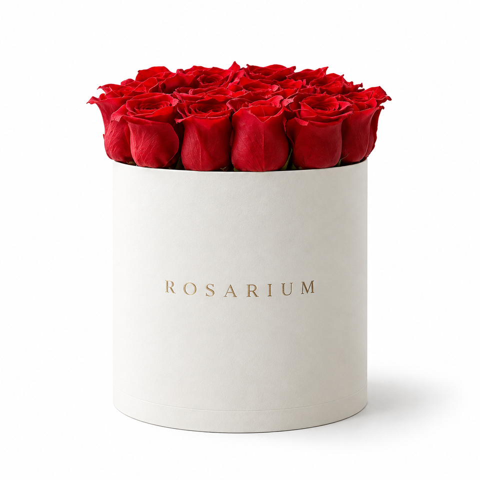 Red, Simply main view, red roses in a off-white Rosarium box