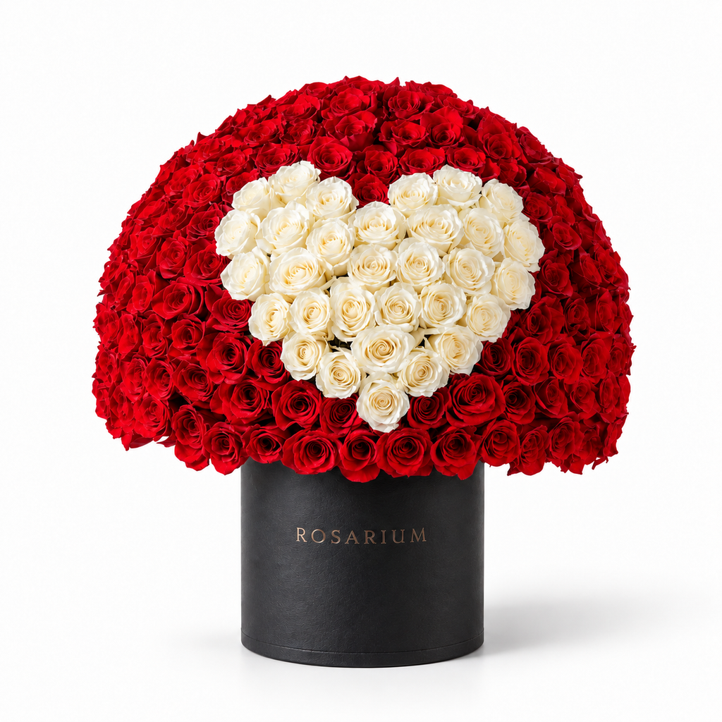 Heart in Contrast main view, red and white roses in a black Rosarium box