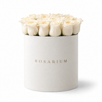 White, Simply main view, white roses in an off-white Rosarium box