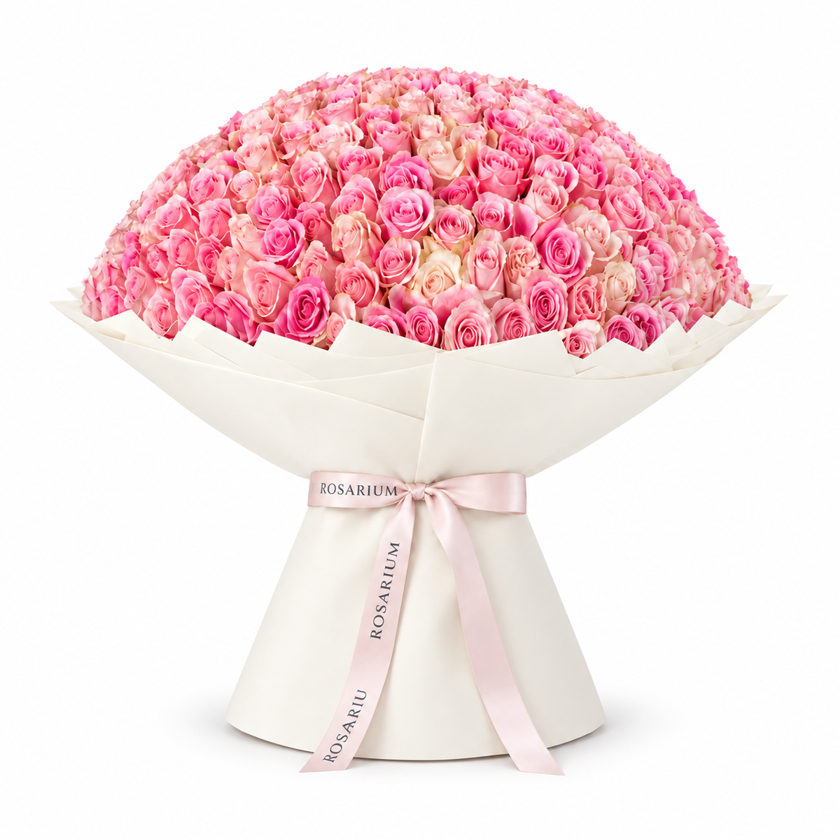 365 pink roses in off-white wrapping with a Rosarium ribbon