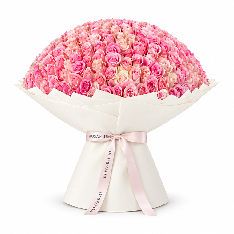 365 Pink Roses