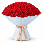 365 red roses in blue wrapping with a Rosarium ribbon