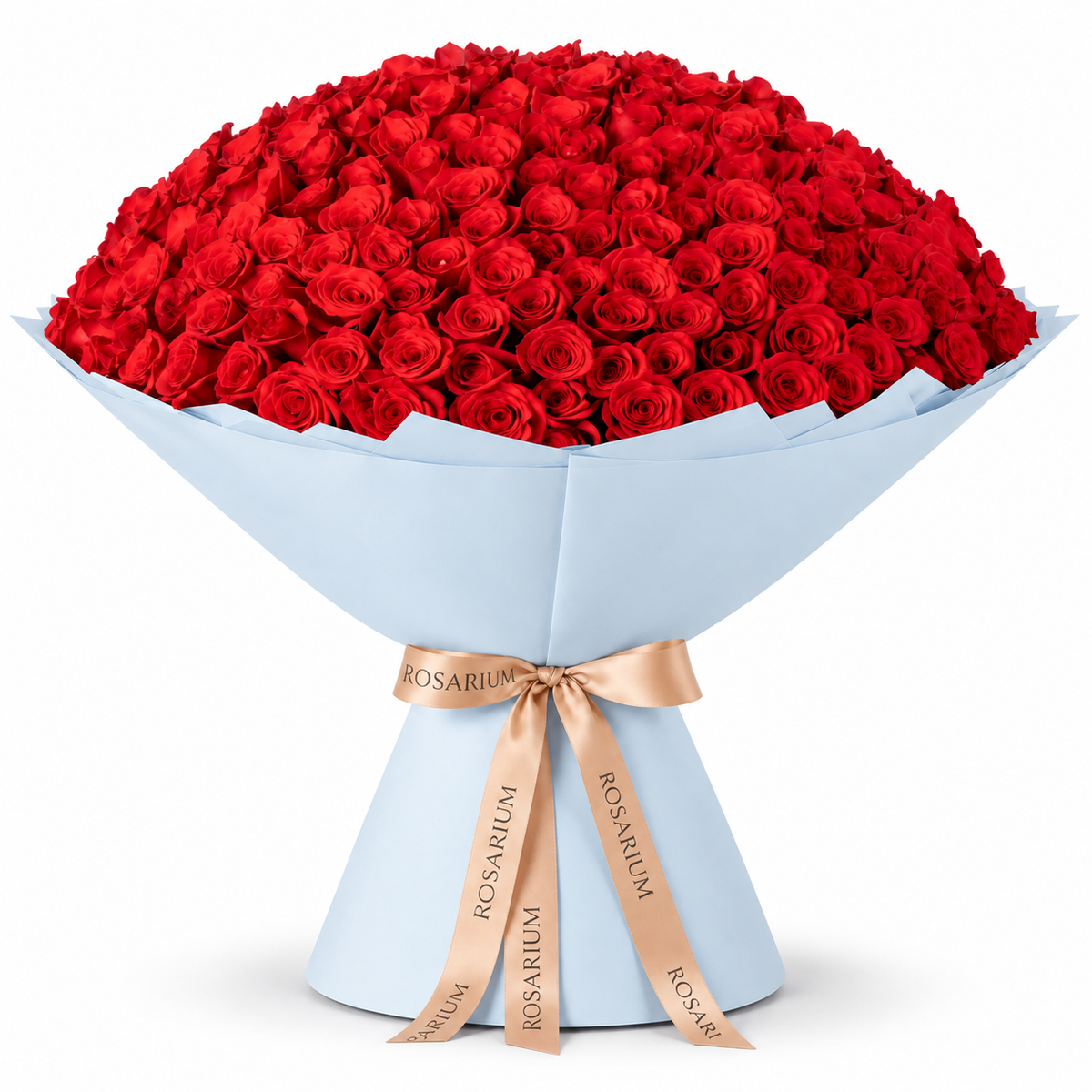 365 red roses in blue wrapping with a Rosarium ribbon