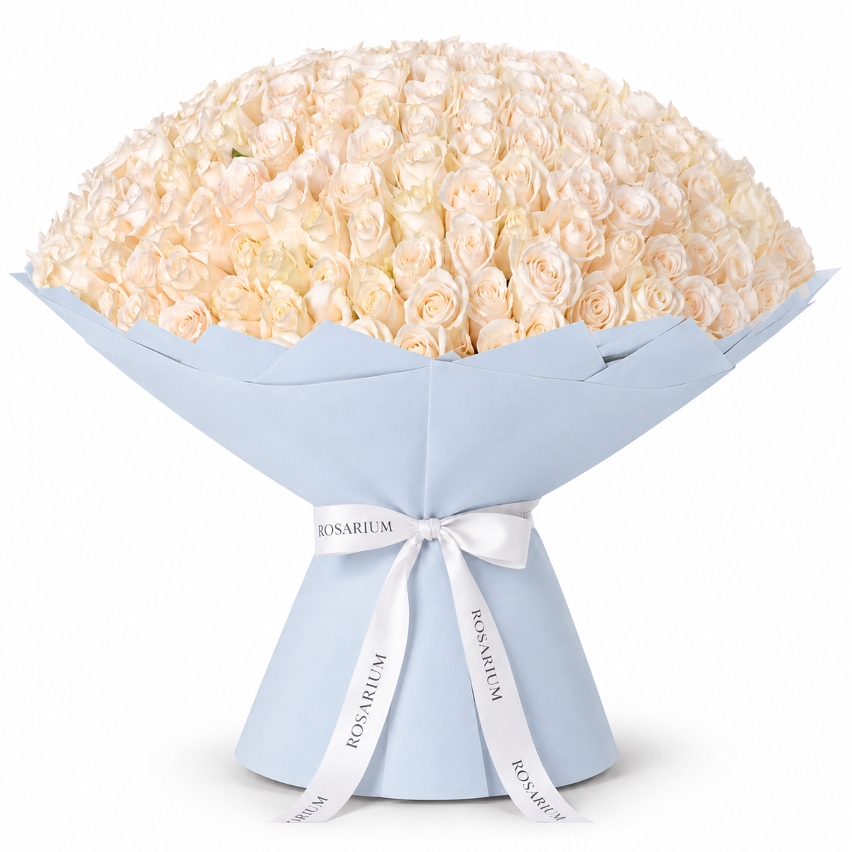 365 white roses in blue wrapping with a Rosarium ribbon