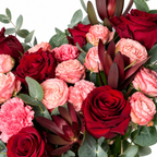 A Blush Love Note: close-up of red and pink roses with burgundy accents and eucalyptus