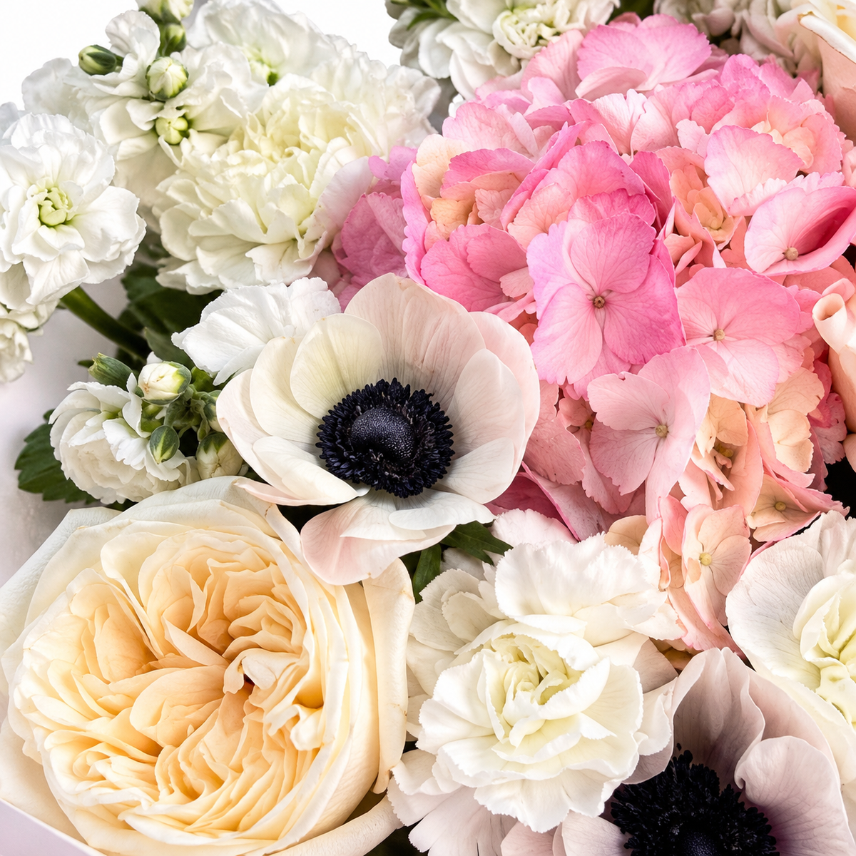 Cream with an Edge: close-up of cream roses, white anemones and pink hydrangea