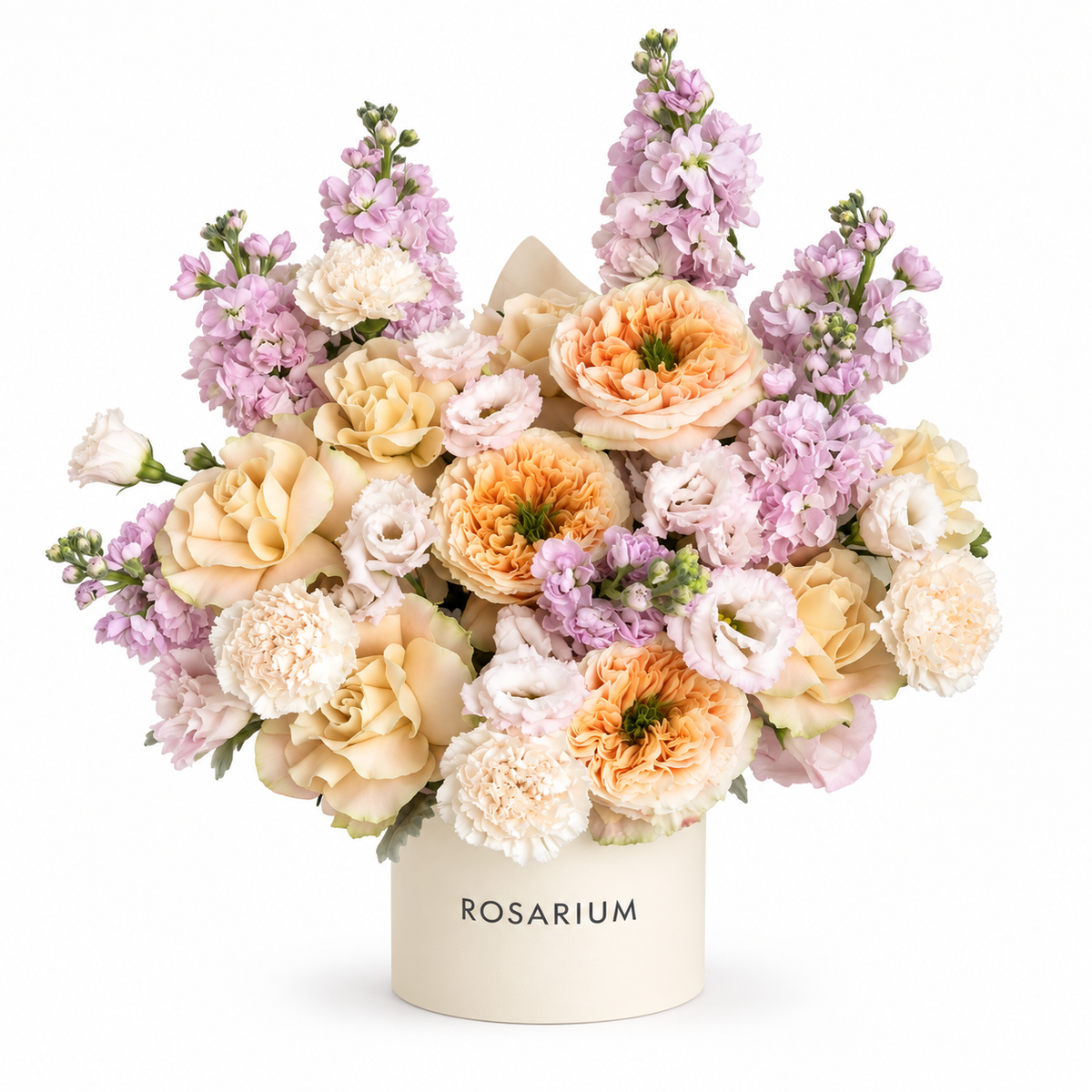 Apricot Sonata — Apricot and buttery cream roses with ivory carnations, pale lisianthus and lilac stock in a warm ivory Rosarium box