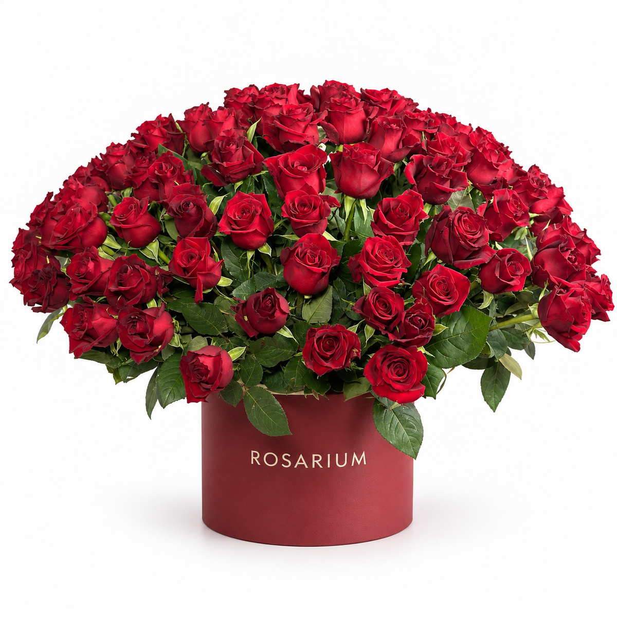 Love, Magnified — A broad, abundant dome of red roses with a natural green outline, presented in a deep red Rosarium box