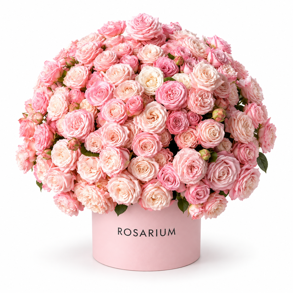 Rosy Obsession — An abundant dome of blush, pink and cream roses, with smaller spray-rose clusters and discreet greenery in a blush Rosarium box