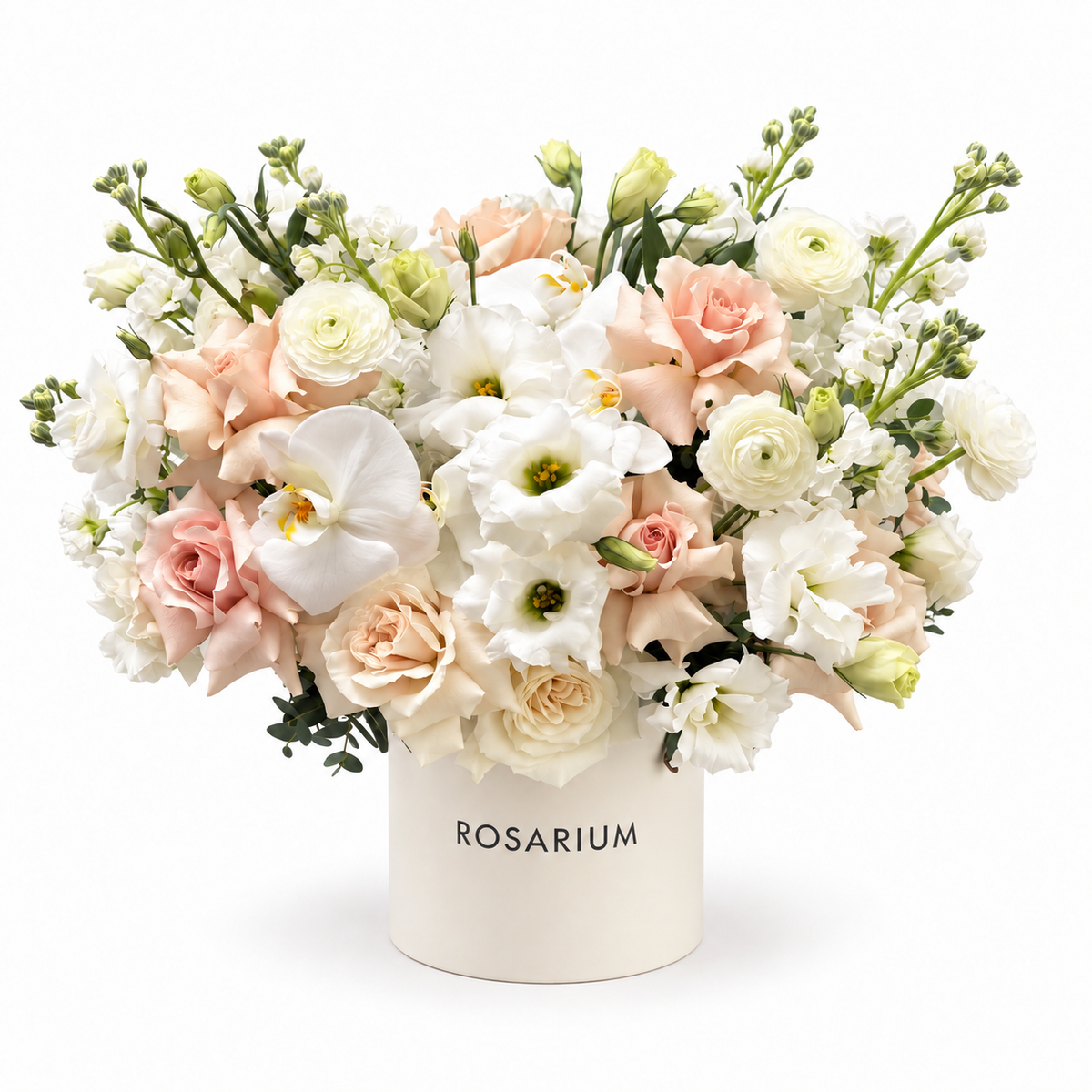 Vanilla Silk — Ivory orchids, pale peach roses, white lisianthus and ranunculus with green buds in a warm ivory Rosarium box