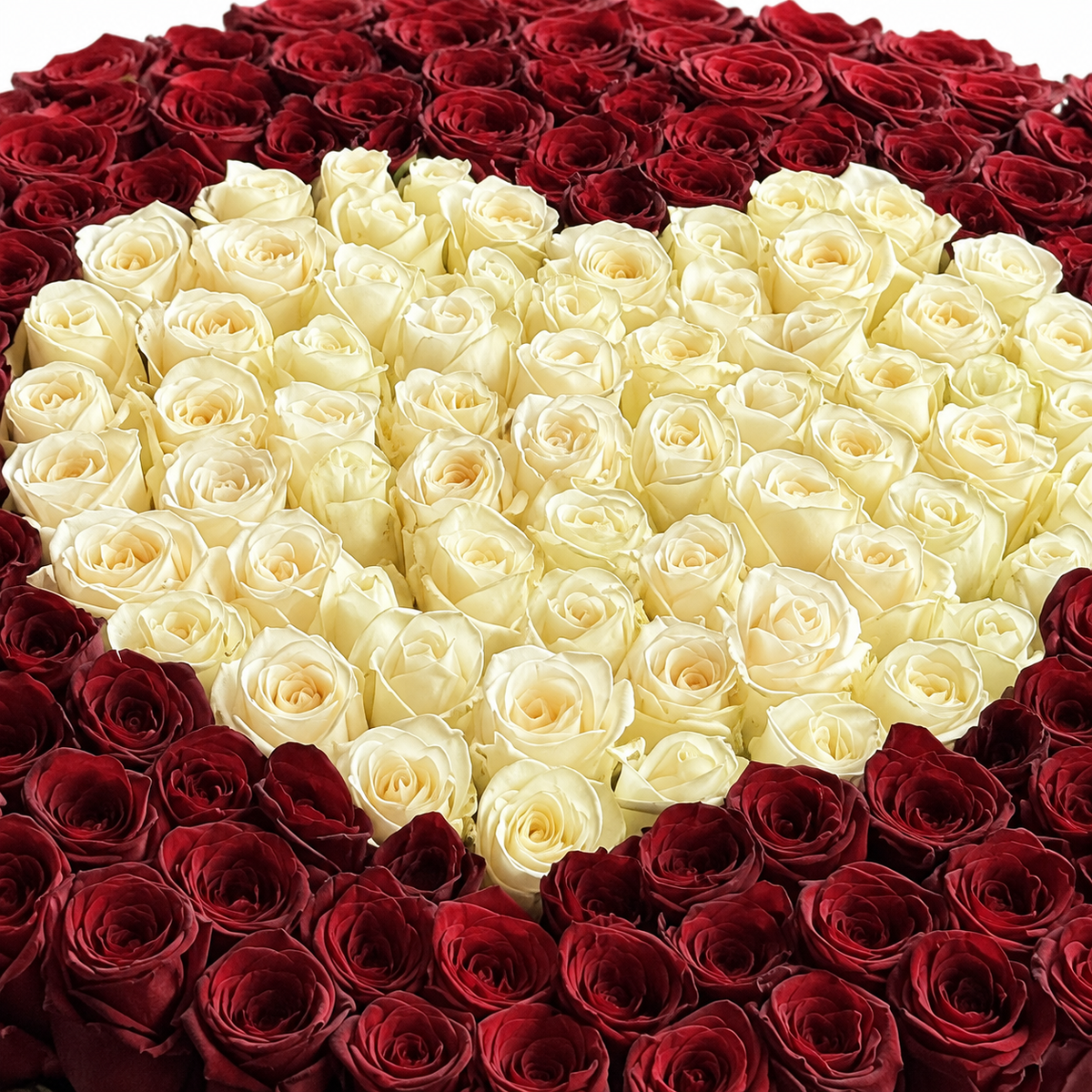Heart in Contrast Luxe: close-up of red roses surrounding an ivory rose heart
