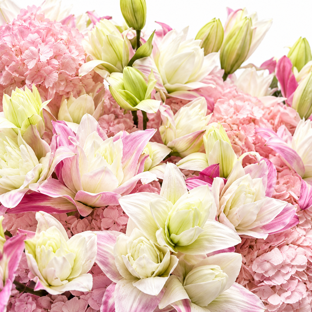 Lily Royalty: close-up of pink lilies, roses and hydrangea
