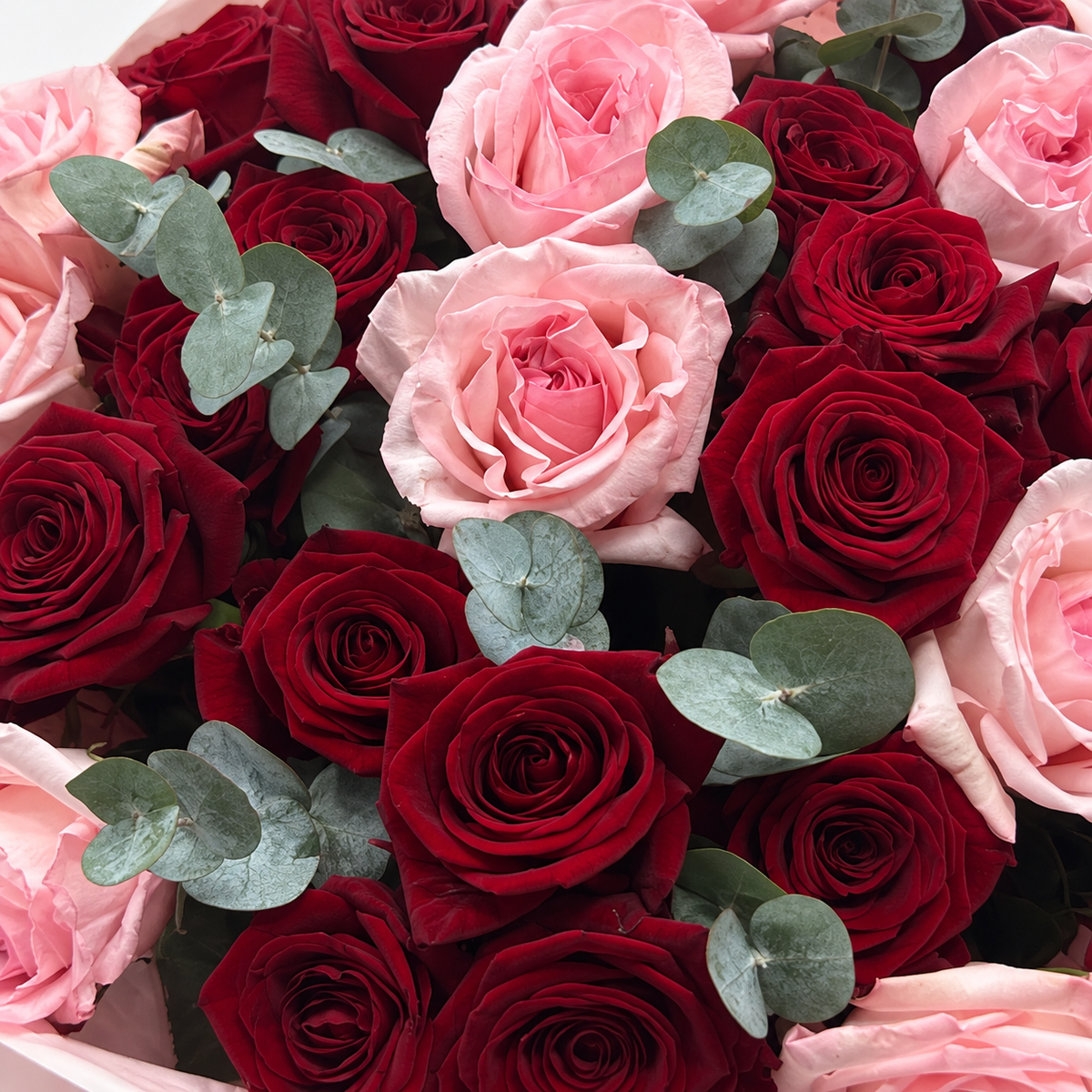 Love, Softened: close-up of red and pink roses with eucalyptus