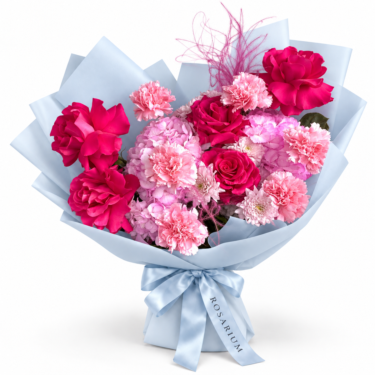 Raspberry Rush: fuchsia roses, pink hydrangea and pink carnations in blue wrapping