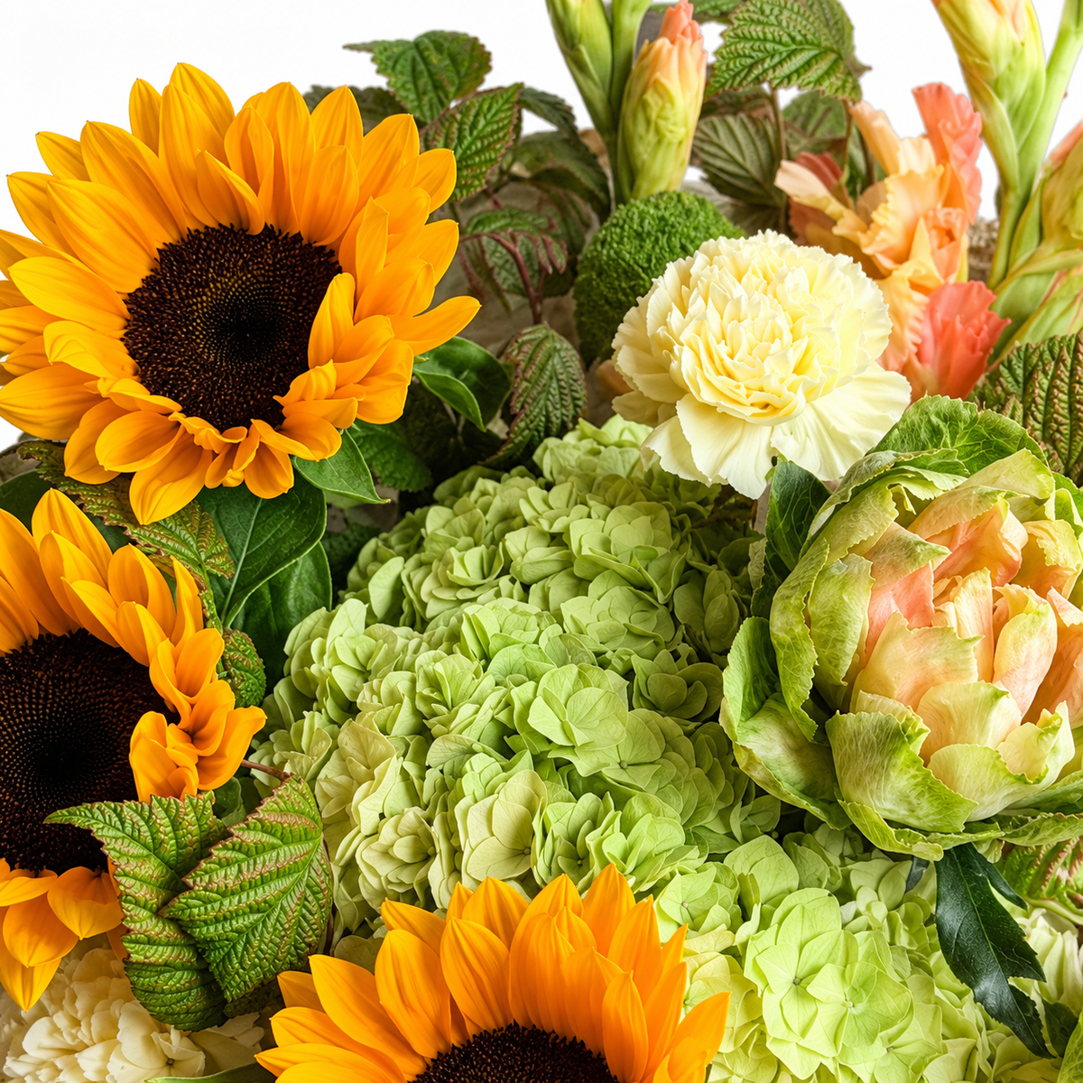Sunshine Chorus: close-up of sunflowers, green hydrangea and cream flowers