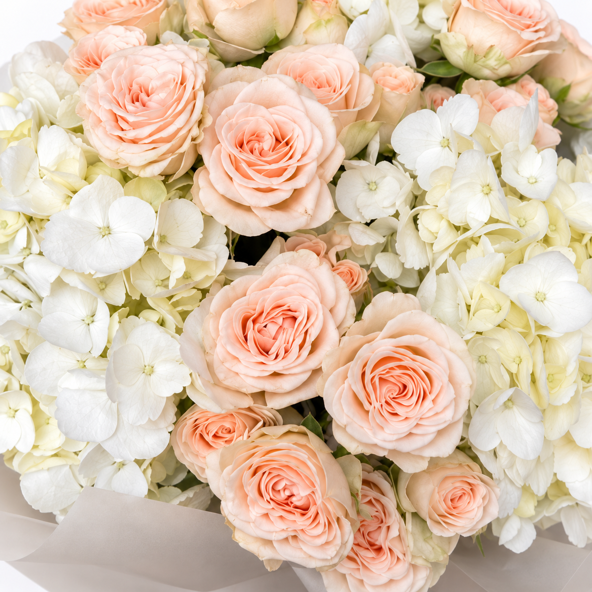 Tender, Always: close-up of peach garden roses and white hydrangea