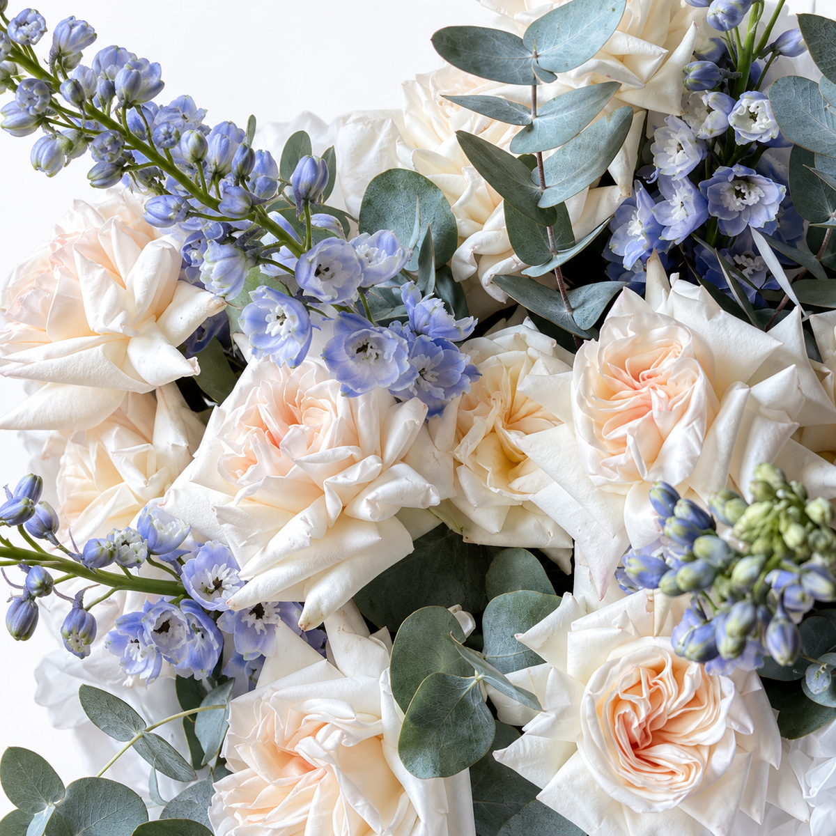 White on Ice: close-up of cream roses, blue delphinium and eucalyptus