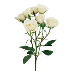 Spray Rose