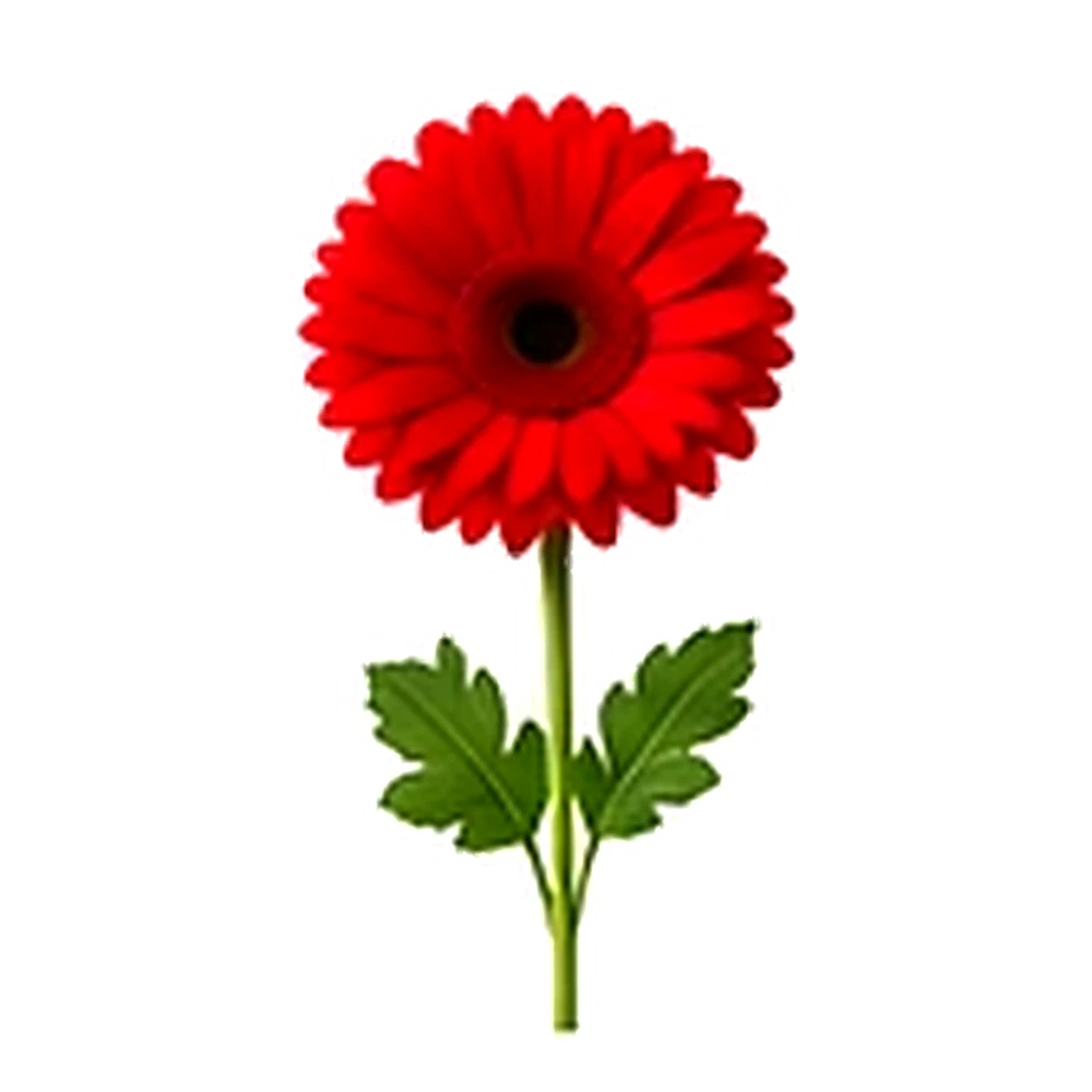 Red Gerbera