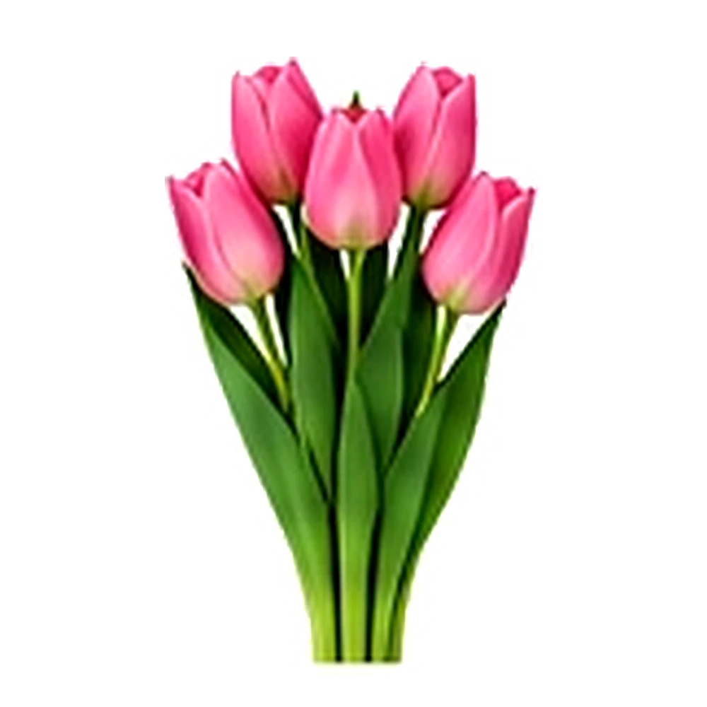 Tulip Bunch