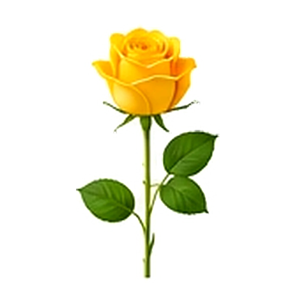 Yellow Rose