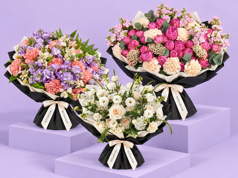 Berry Ruffle, Lilac Confetti, Ivory Daybreak